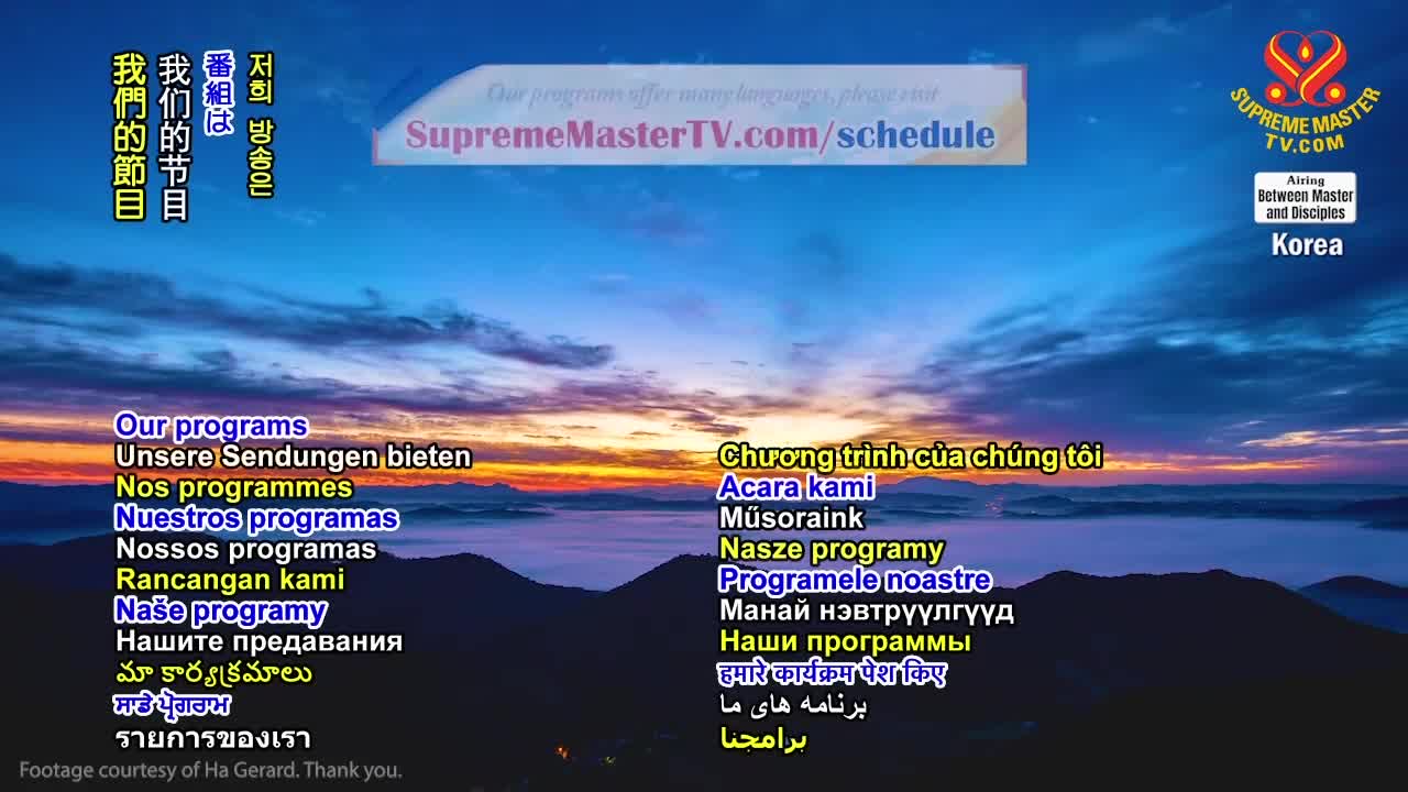 Thumbnail image for Supreme Master Television