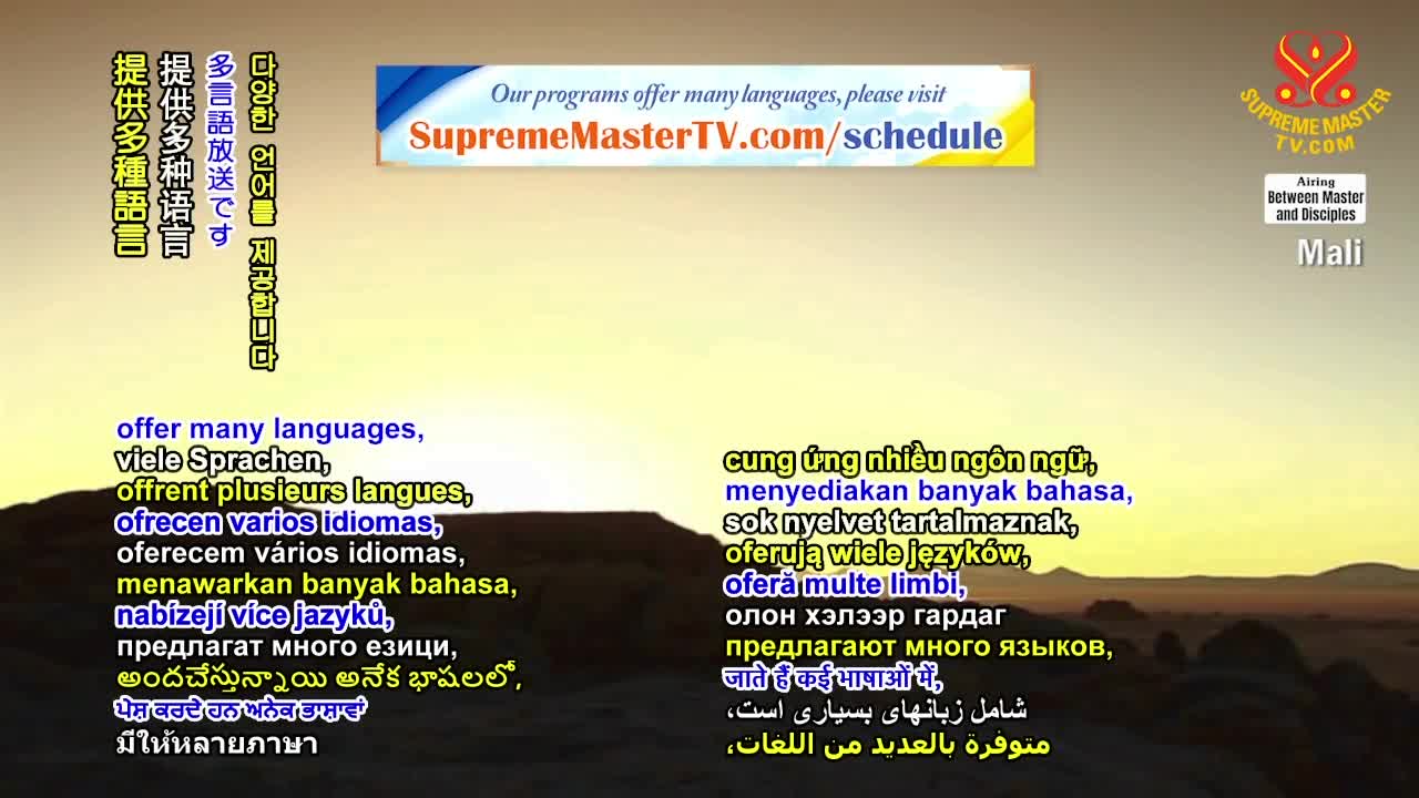 Thumbnail image for Supreme Master Television