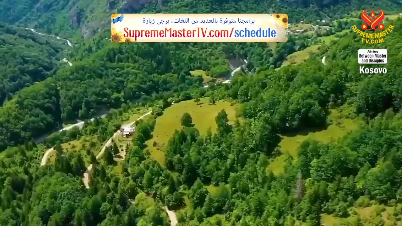 Thumbnail image for Supreme Master Television