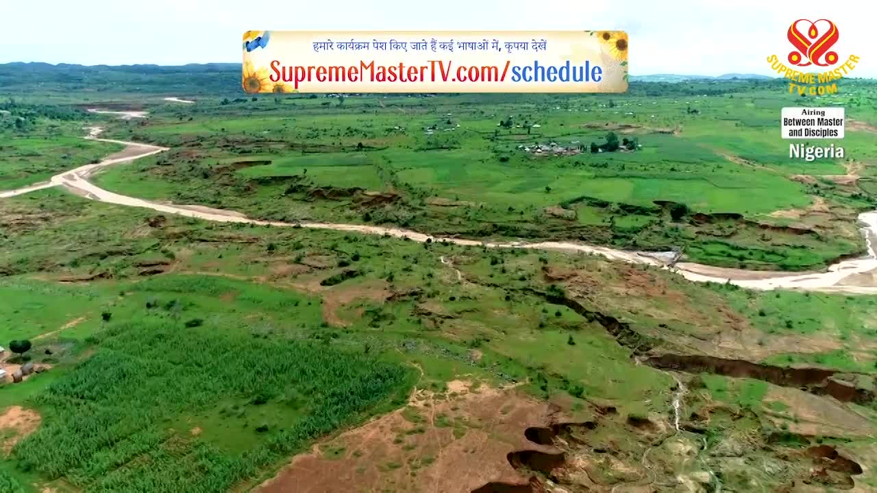 Thumbnail image for Supreme Master Television