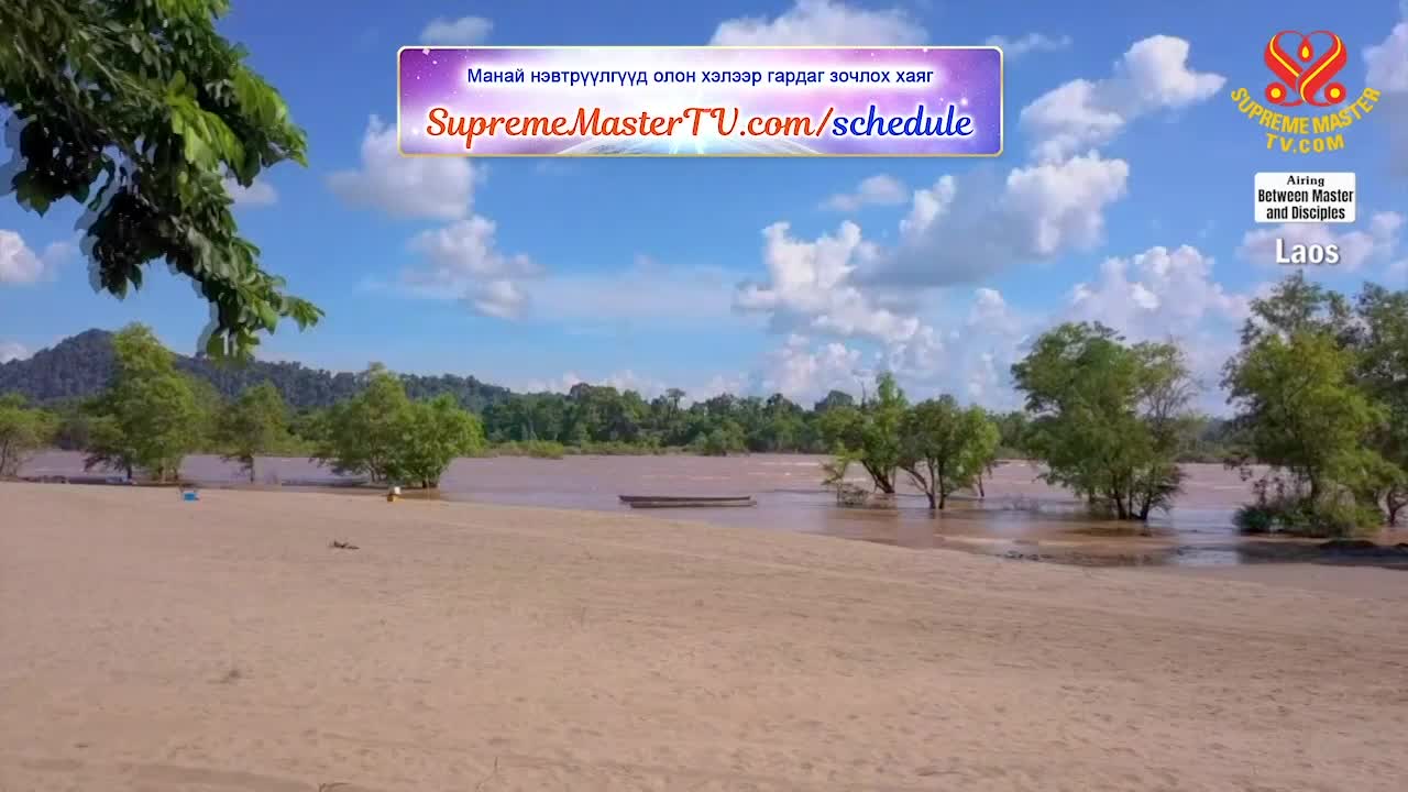 Thumbnail image for Supreme Master Television