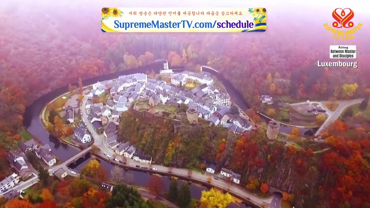 Thumbnail image for Supreme Master Television