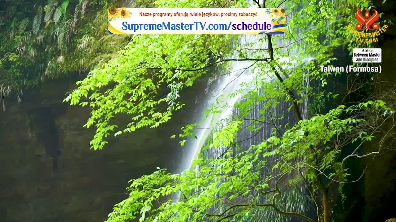 Thumbnail image for Supreme Master Television