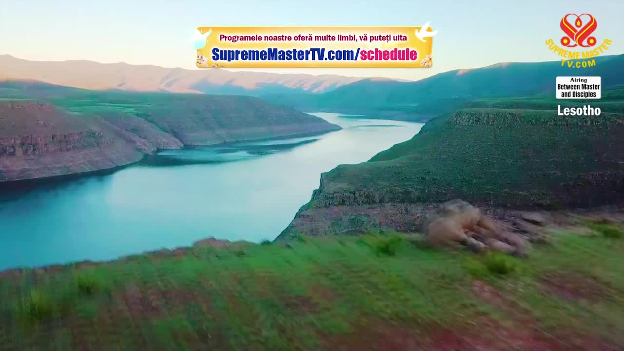 Thumbnail image for Supreme Master Television