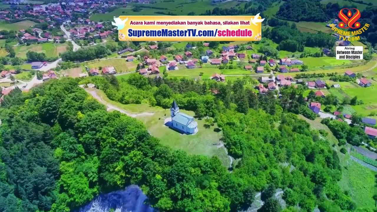 Thumbnail image for Supreme Master Television