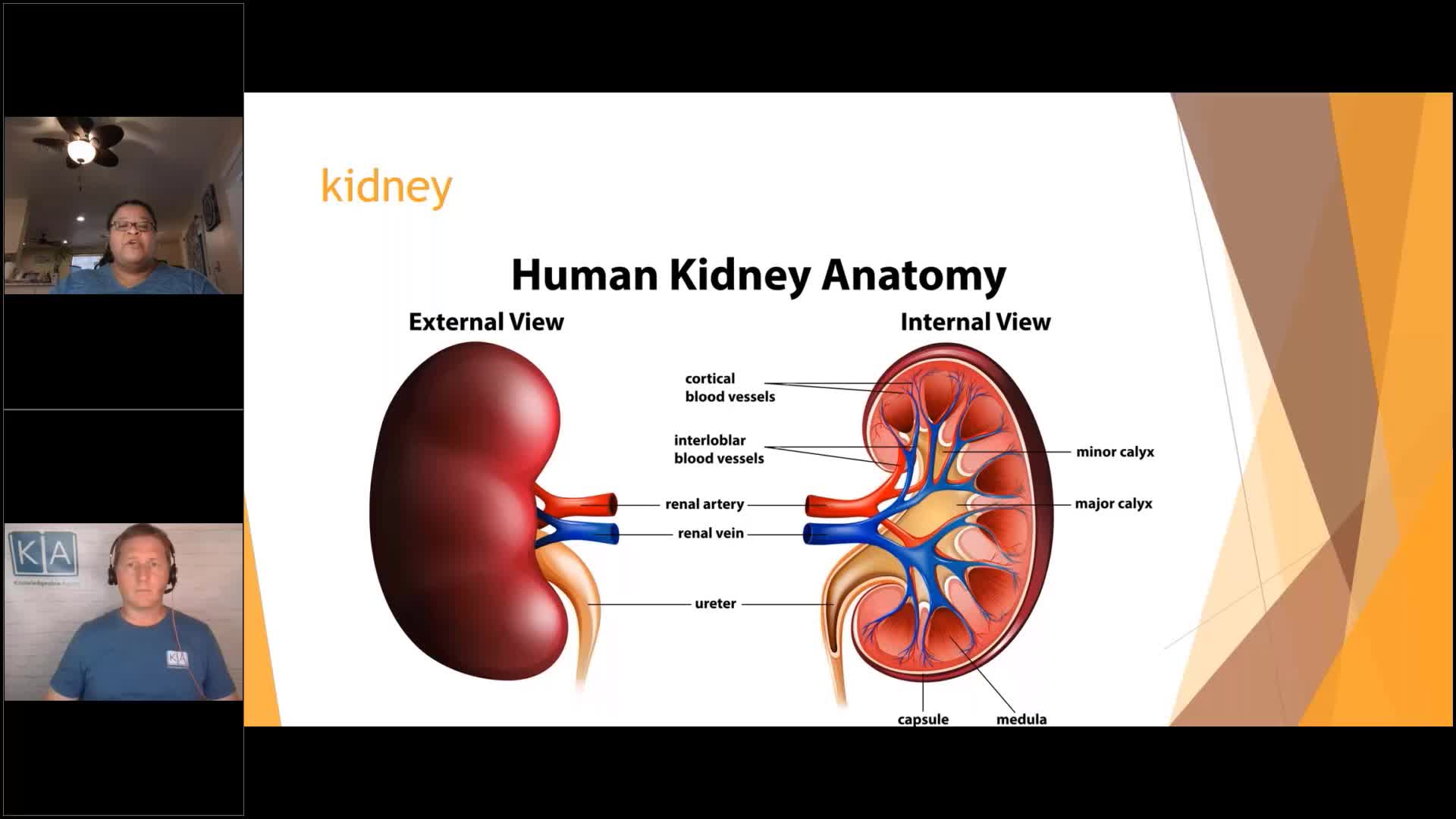 Thumbnail image for Knowledgeable Aging - UTIs-What You Need To Know