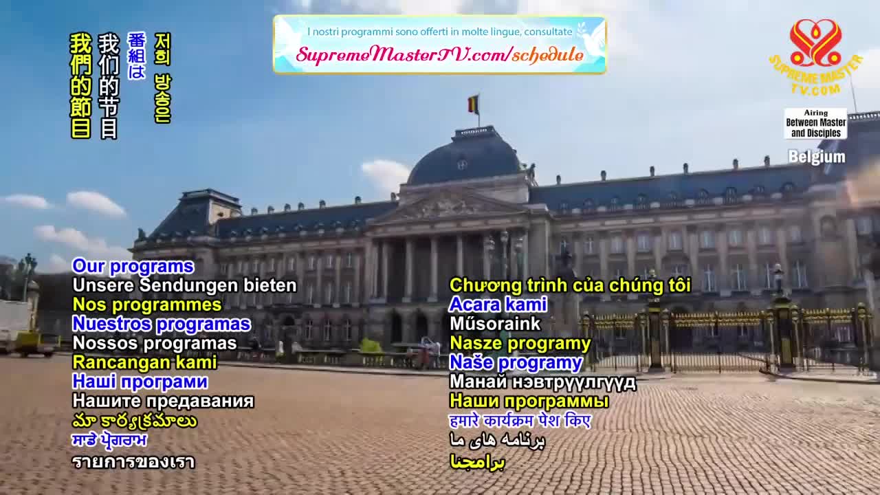 Thumbnail image for Supreme Master Television