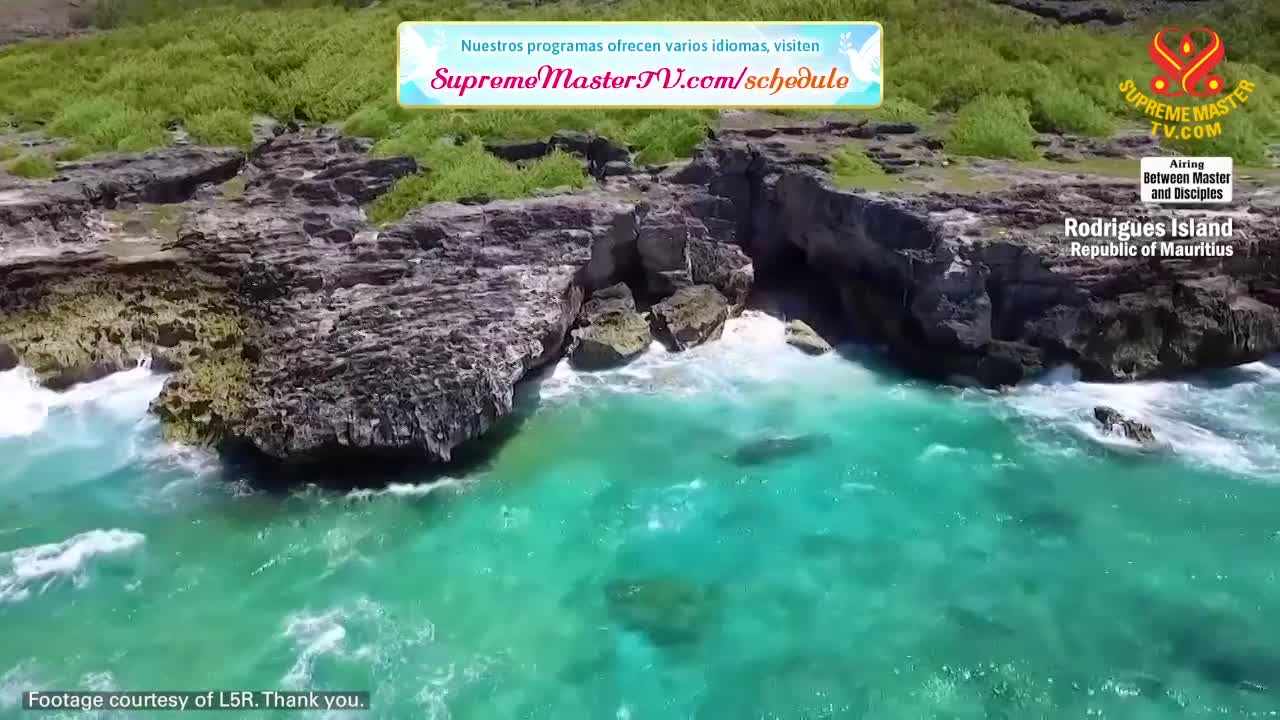 Thumbnail image for Supreme Master Television