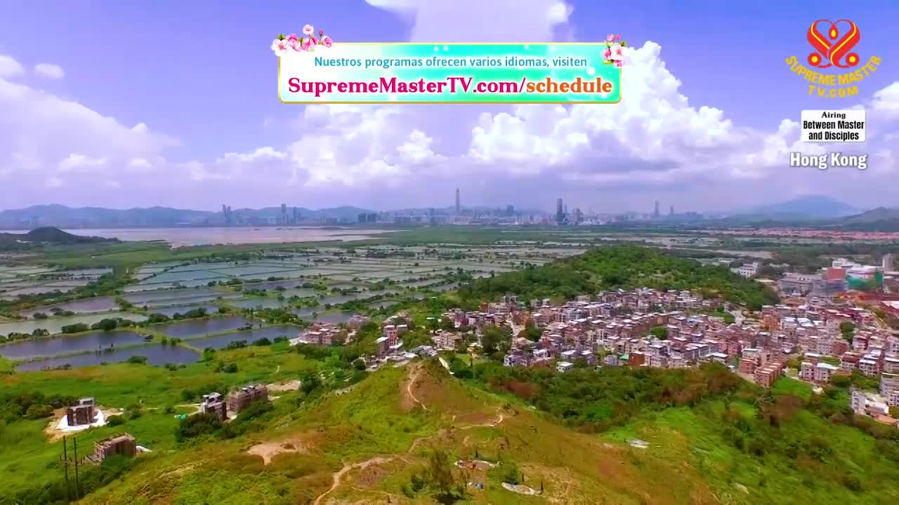 Thumbnail image for Supreme Master Television