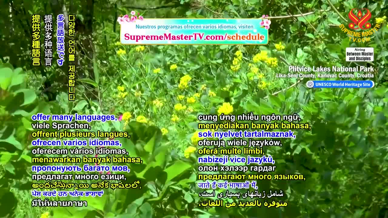 Thumbnail image for Supreme Master Television