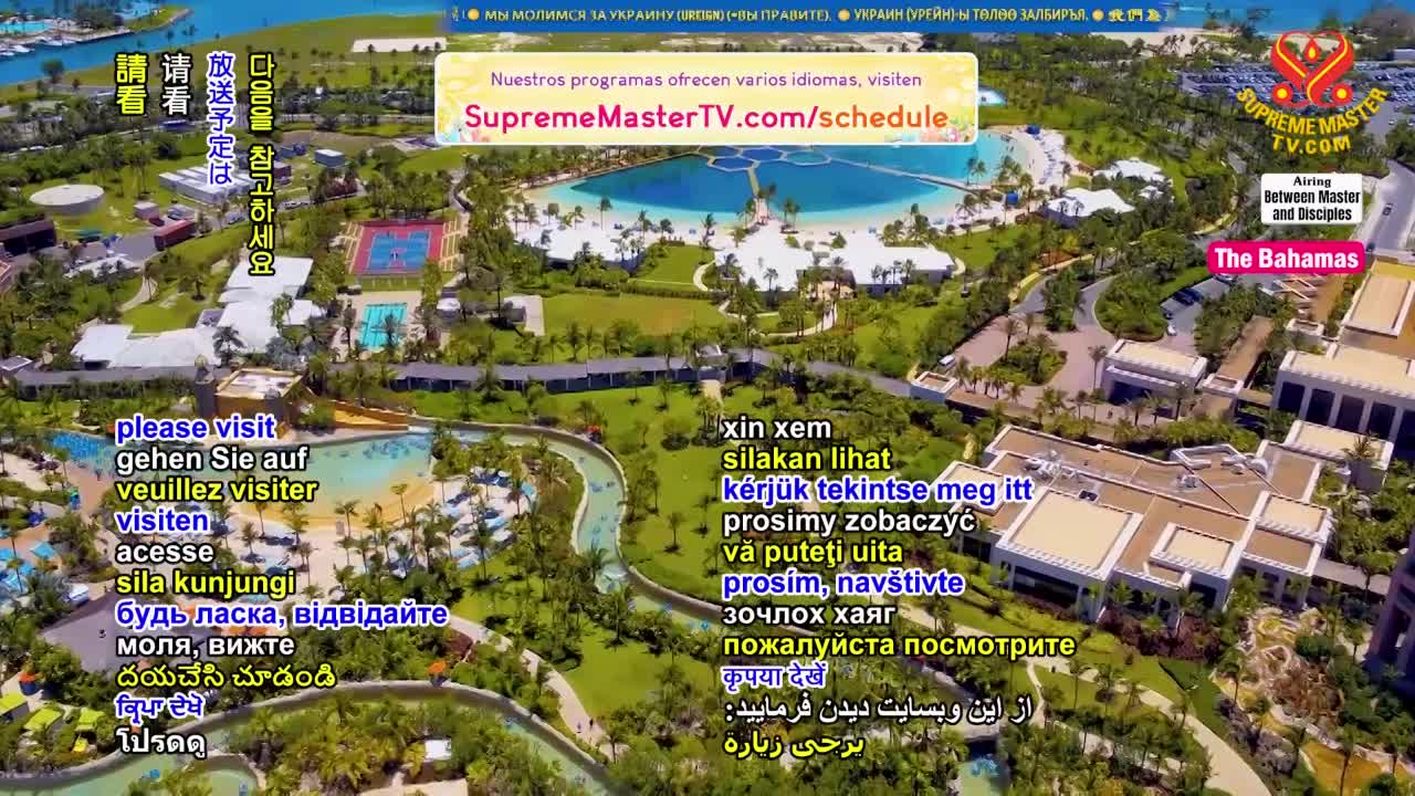 Thumbnail image for Supreme Master Television