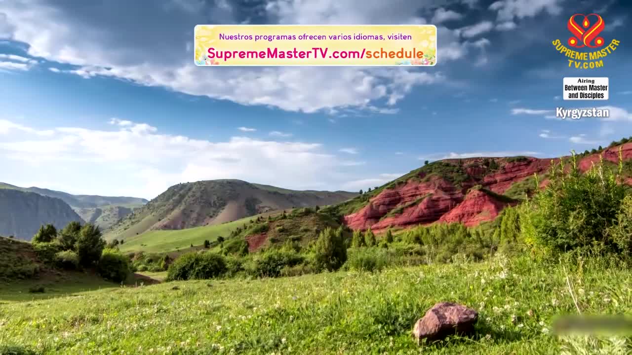 Thumbnail image for Supreme Master Television