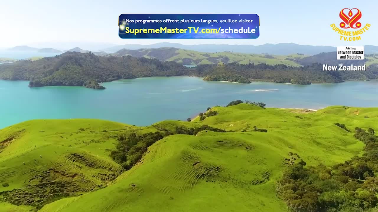 Thumbnail image for Supreme Master Television