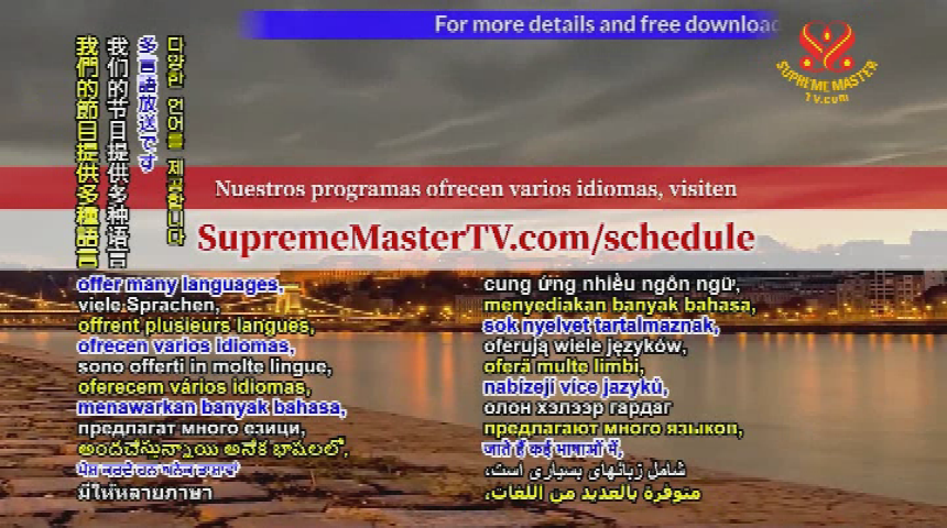 Thumbnail image for Supreme Master Television