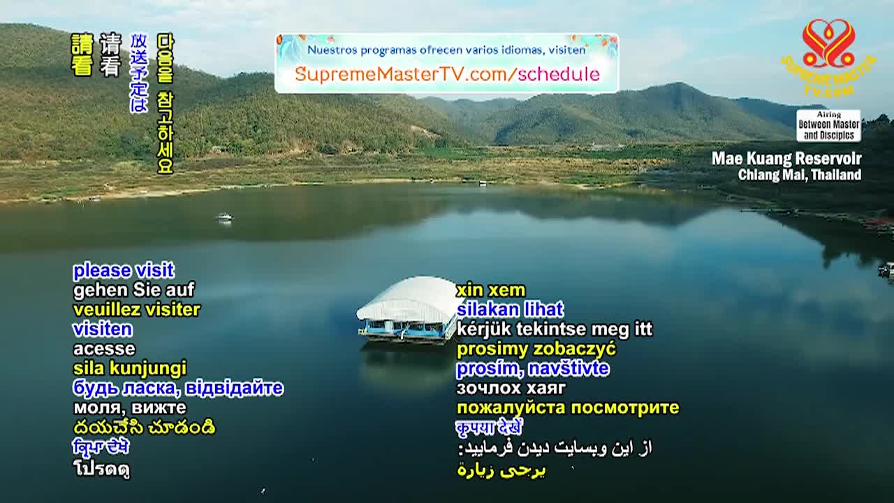 Thumbnail image for Supreme Master Television