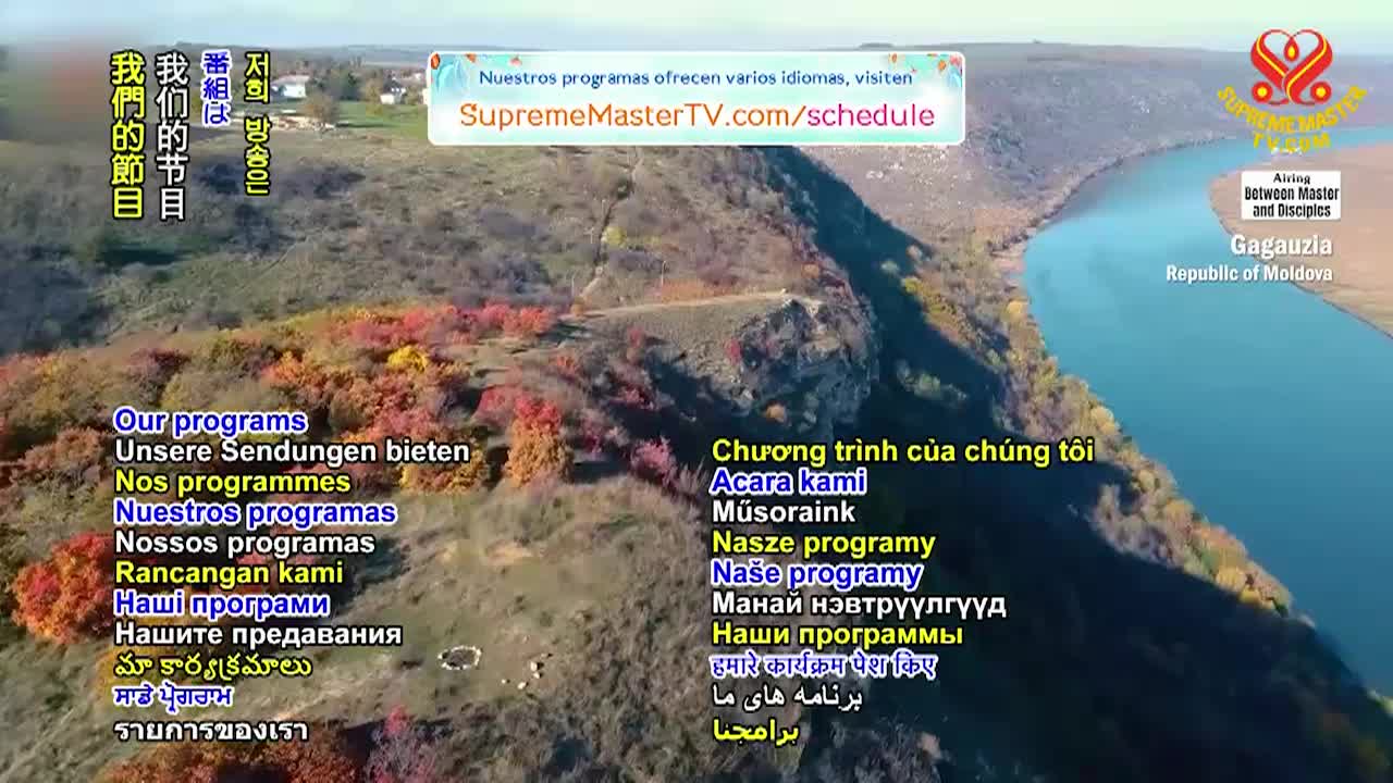 Thumbnail image for Supreme Master Television