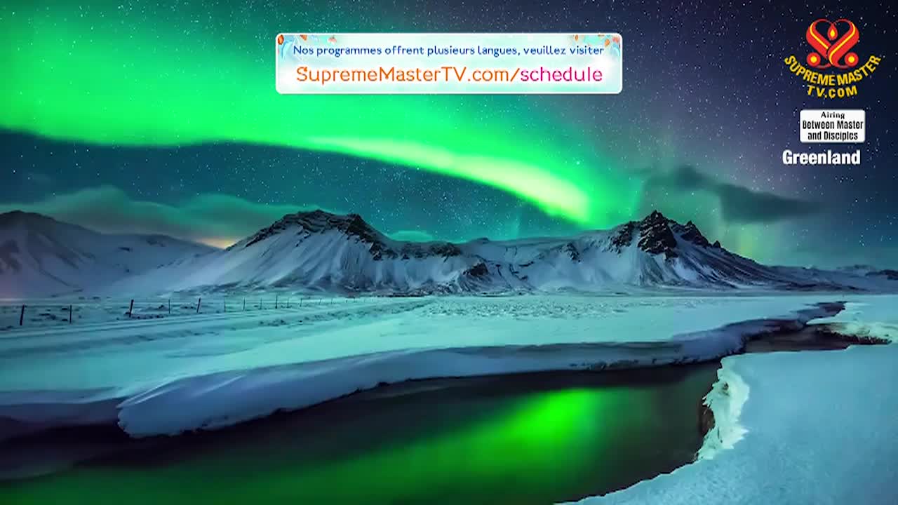 Thumbnail image for Supreme Master Television