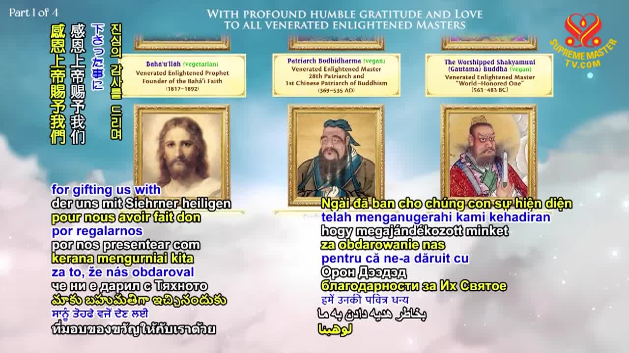 Thumbnail image for Supreme Master Television