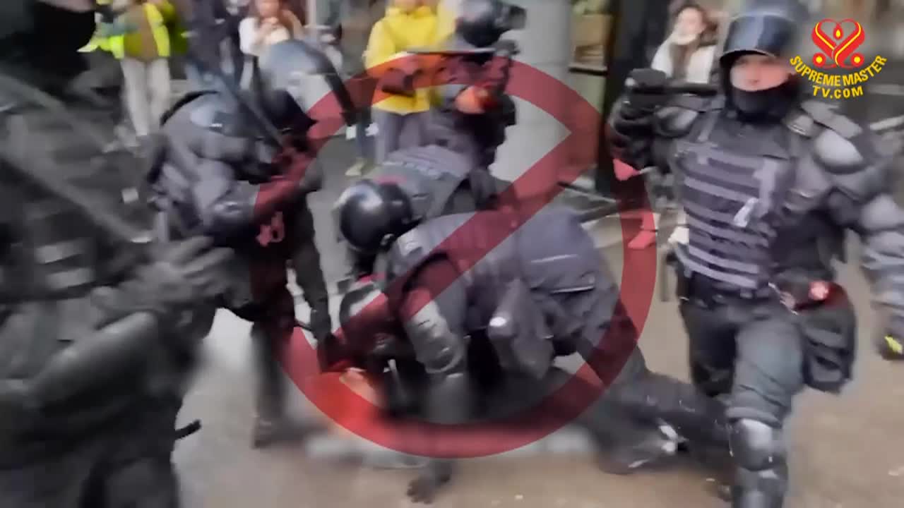 Thumbnail image for Supreme Master Television