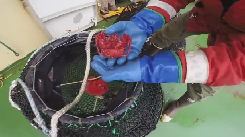 Thumbnail image for NSF Science Now