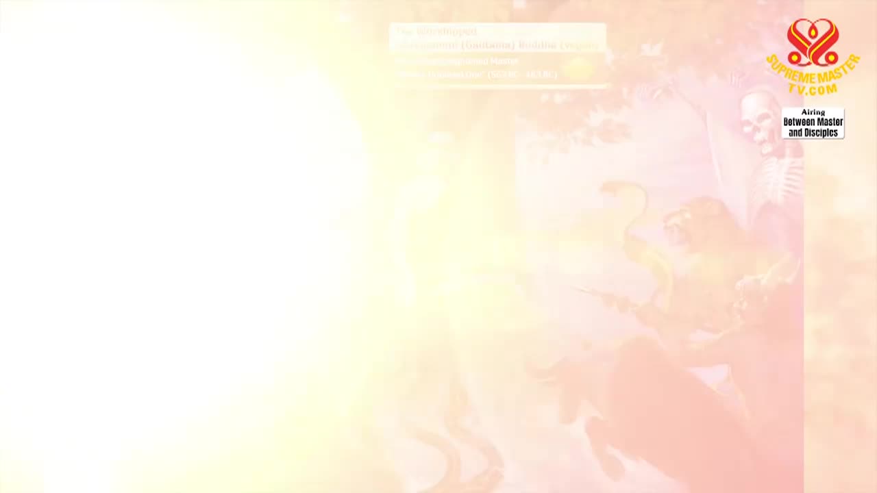 Thumbnail image for Supreme Master Television