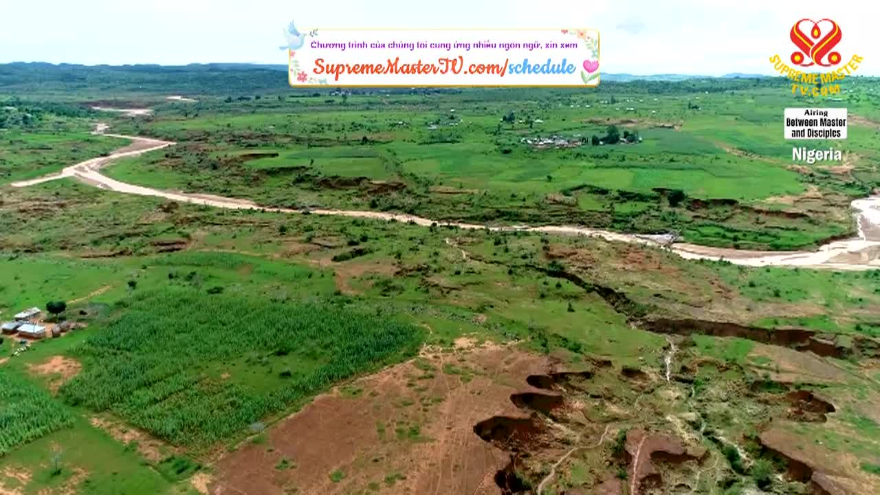 Thumbnail image for Supreme Master Television