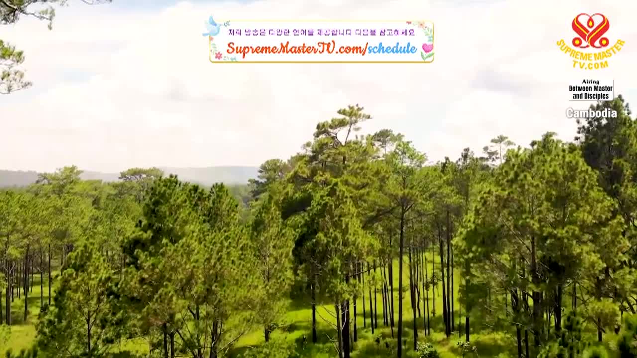 Thumbnail image for Supreme Master Television