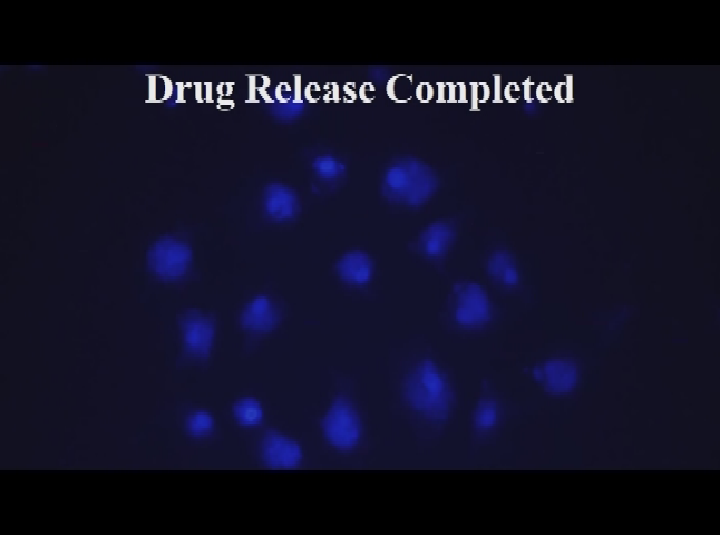 Thumbnail image for NSF Science Now