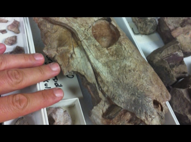 Thumbnail image for NSF Science Now