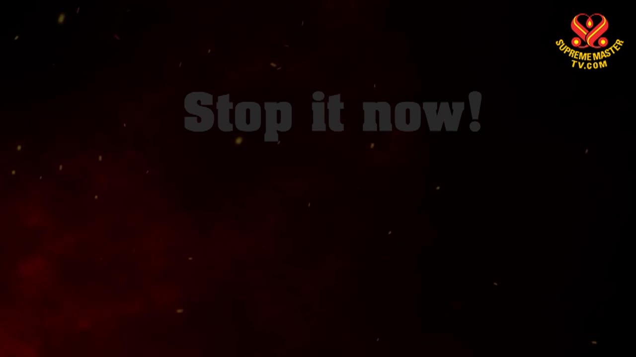 Thumbnail image for Supreme Master Television