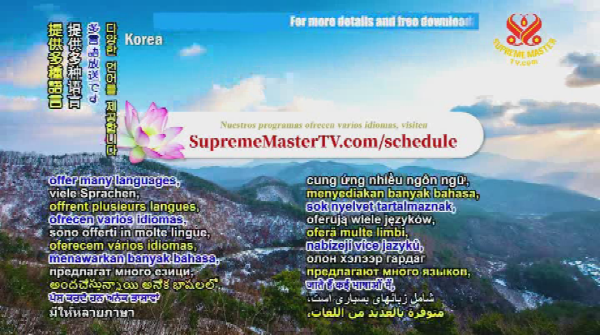 Thumbnail image for Supreme Master Television