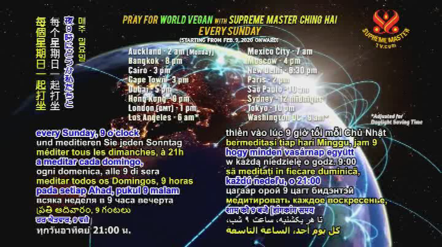 Thumbnail image for Supreme Master Television