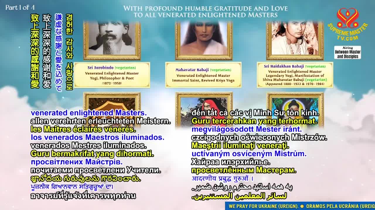 Thumbnail image for Supreme Master Television