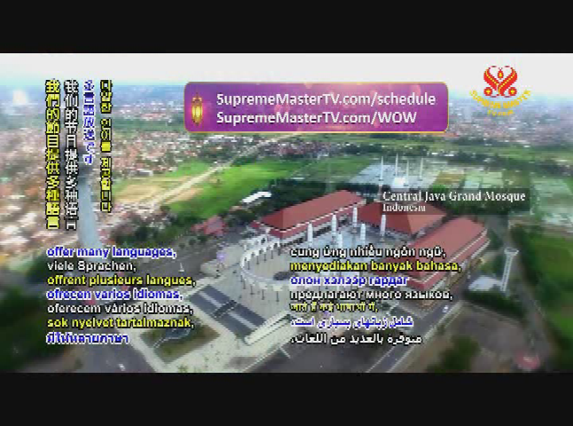 Thumbnail image for Supreme Master Television