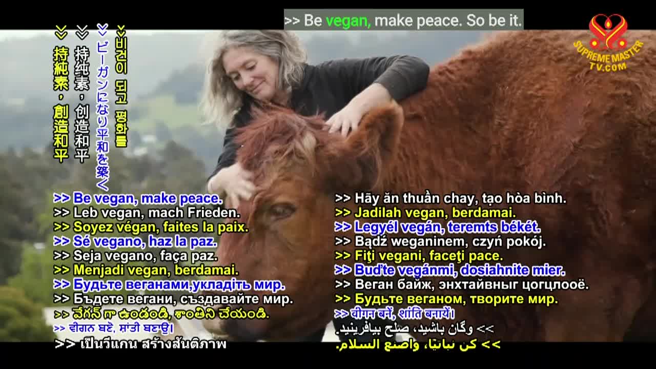 Thumbnail image for Supreme Master Television