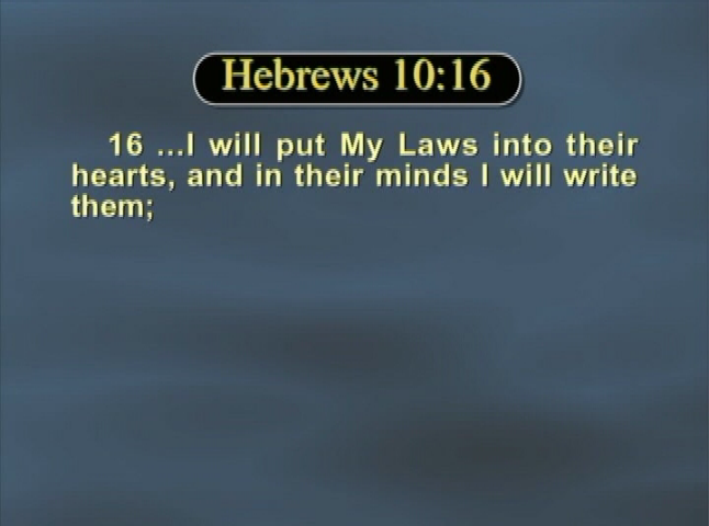 Thumbnail image for The House of Yahweh