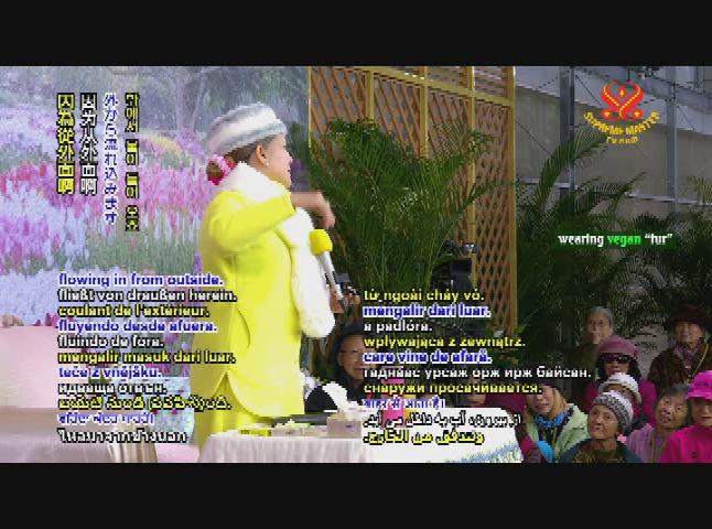 Thumbnail image for Supreme Master Television