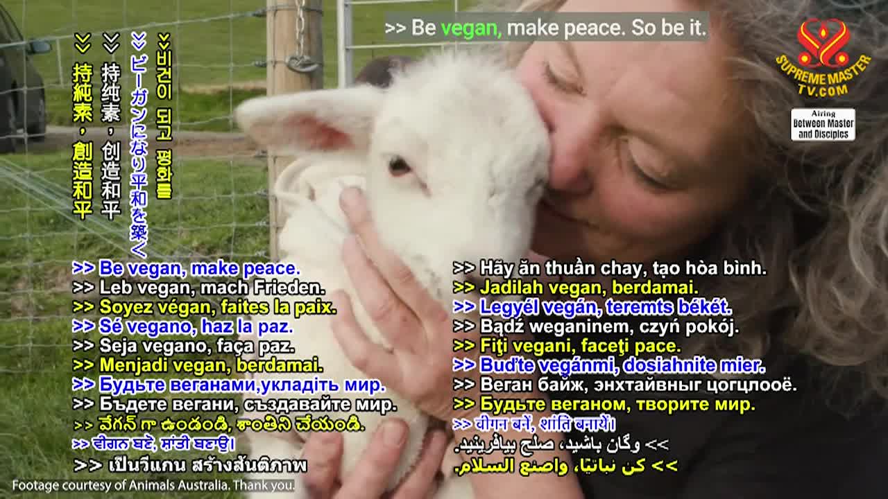 Thumbnail image for Supreme Master Television