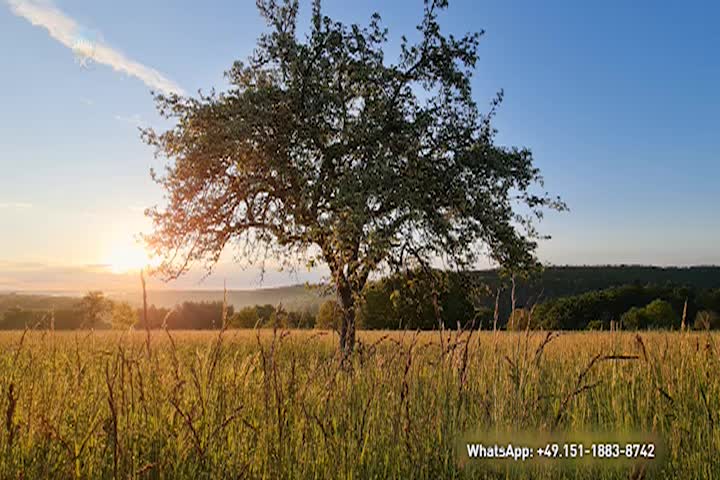 Thumbnail image for A Question of Ethics - Christ in Us, the Physician of the Soul