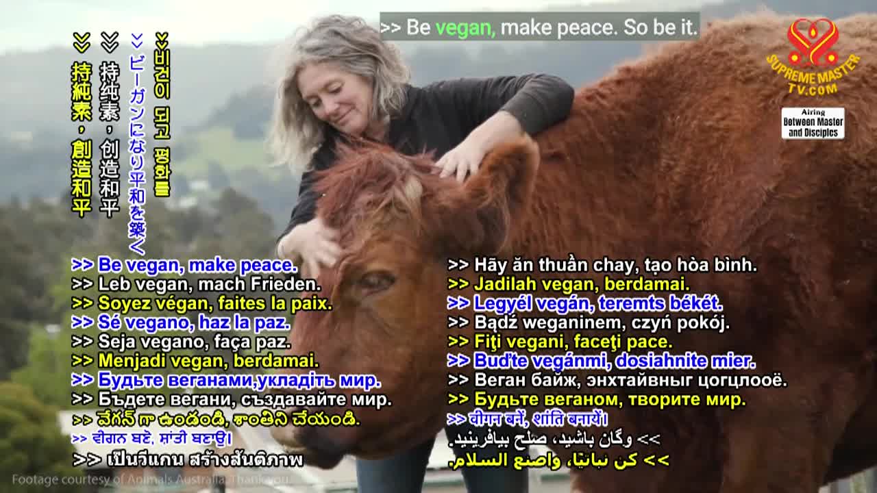 Thumbnail image for Supreme Master Television