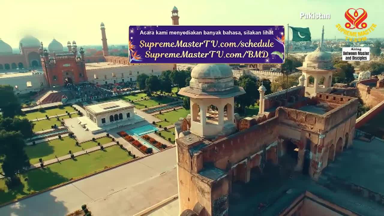 Thumbnail image for Supreme Master Television