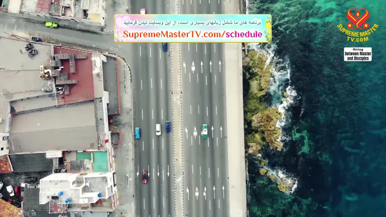 Thumbnail image for Supreme Master Television