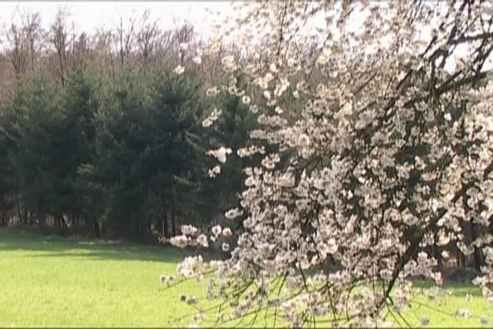 Thumbnail image for A Question of Ethics - Evening Meditation Part 4