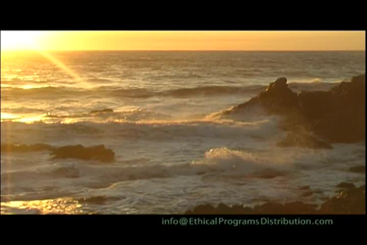 Thumbnail image for A Question of Ethics - Evening Meditation Part 8