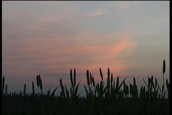 Thumbnail image for A Question of Ethics - Evening Meditation Part 6