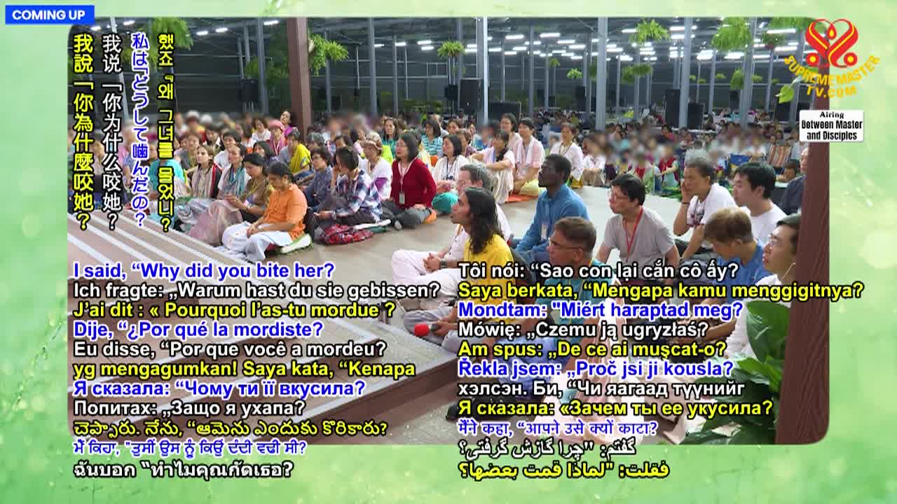 Thumbnail image for Supreme Master Television