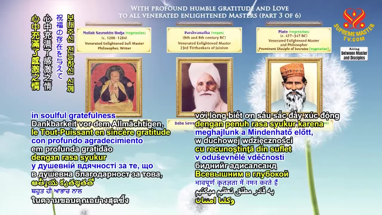 Thumbnail image for Supreme Master Television