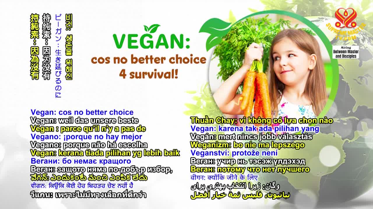 Supreme Master Television