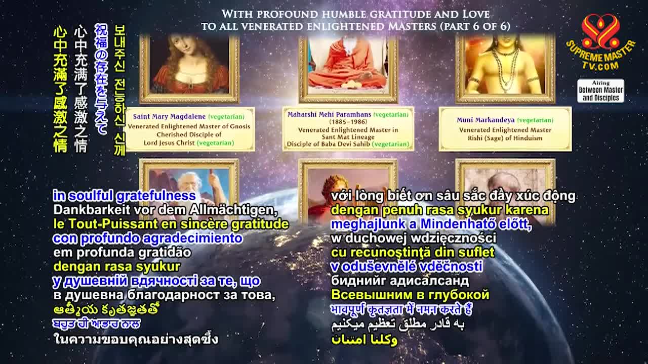 Supreme Master Television