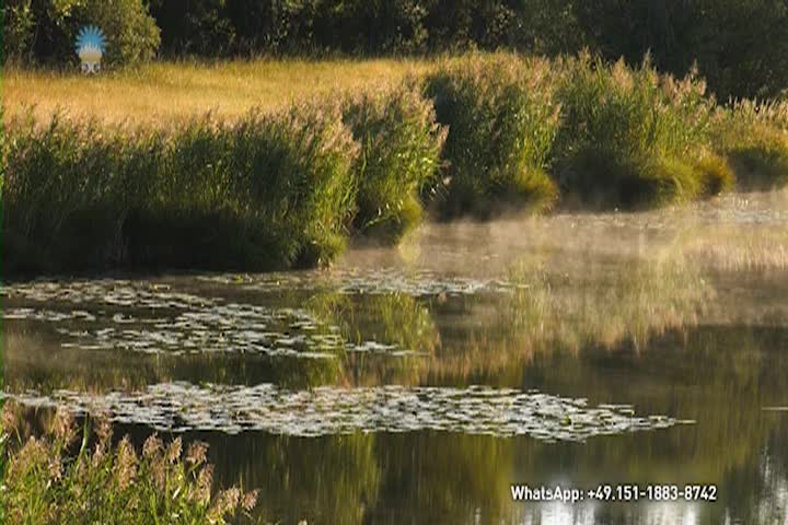 Thumbnail image for A Question of Ethics - Contributing to the State of This World